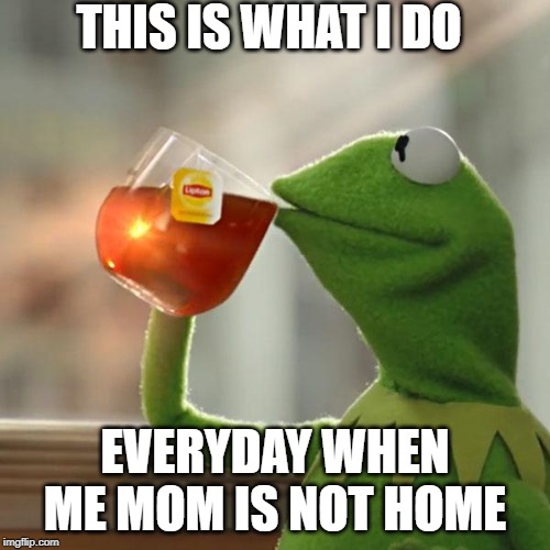 But That's None Of My Business | THIS IS WHAT I DO; EVERYDAY WHEN ME MOM IS NOT HOME | image tagged in memes,but thats none of my business,kermit the frog | made w/ Imgflip meme maker