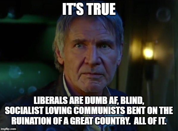 It's true, all of it!  | IT'S TRUE; LIBERALS ARE DUMB AF, BLIND, SOCIALIST LOVING COMMUNISTS BENT ON THE RUINATION OF A GREAT COUNTRY.  ALL OF IT. | image tagged in it's true all of it | made w/ Imgflip meme maker