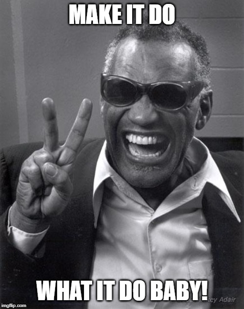 Ray Charles | MAKE IT DO; WHAT IT DO BABY! | image tagged in ray charles | made w/ Imgflip meme maker