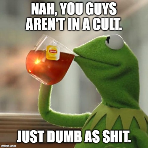 Trumpism is not a cult. | NAH, YOU GUYS AREN'T IN A CULT. JUST DUMB AS SHIT. | image tagged in memes,but thats none of my business,kermit the frog,cult,donald trump,right wing | made w/ Imgflip meme maker