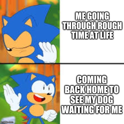 my life decision | ME GOING THROUGH ROUGH TIME AT LIFE; COMING BACK HOME TO SEE MY DOG WAITING FOR ME | image tagged in sonic the hedgehog | made w/ Imgflip meme maker