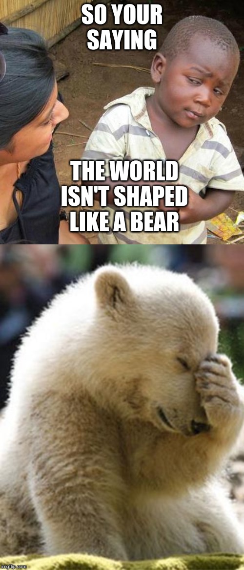 SO YOUR SAYING; THE WORLD ISN'T SHAPED LIKE A BEAR | image tagged in memes,third world skeptical kid,facepalm bear | made w/ Imgflip meme maker