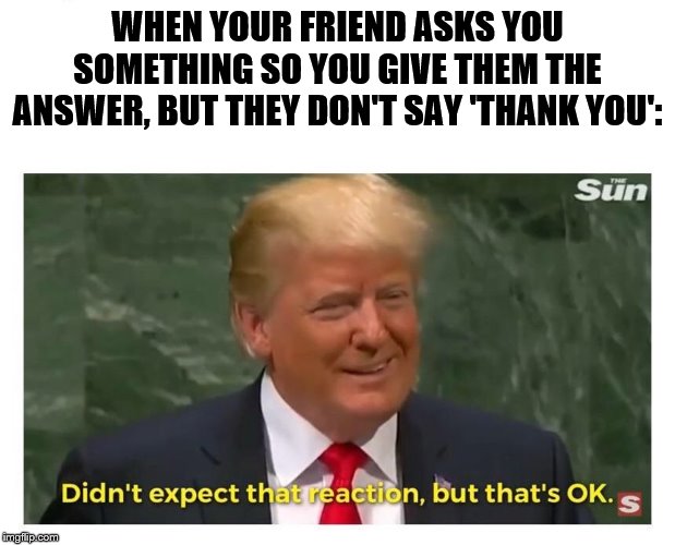 The next time this happens to you, just show your friend this. That's why I made this meme. | WHEN YOUR FRIEND ASKS YOU SOMETHING SO YOU GIVE THEM THE ANSWER, BUT THEY DON'T SAY 'THANK YOU': | image tagged in didn't expect that reaction but that's ok | made w/ Imgflip meme maker