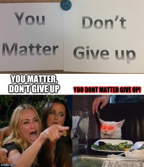 YOU MATTER,
DON'T GIVE UP; YOU DONT MATTER GIVE UP! | image tagged in memes,woman yelling at cat | made w/ Imgflip meme maker
