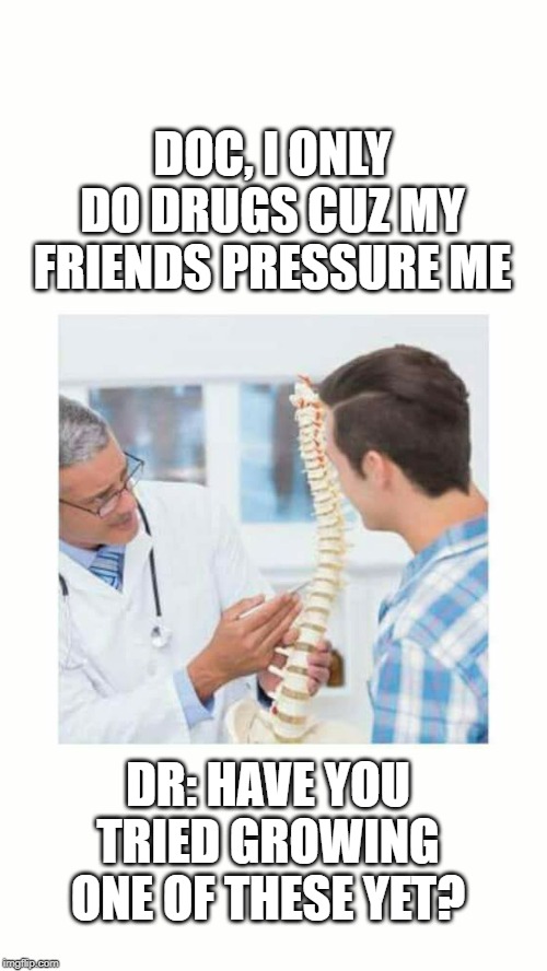 Doctor With Backbone | DOC, I ONLY DO DRUGS CUZ MY FRIENDS PRESSURE ME; DR: HAVE YOU TRIED GROWING ONE OF THESE YET? | image tagged in doctor with backbone | made w/ Imgflip meme maker