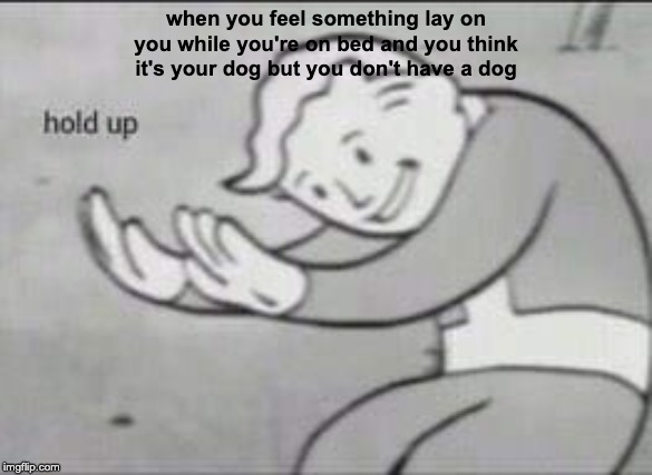 Fallout Hold Up | when you feel something lay on you while you're on bed and you think it's your dog but you don't have a dog | image tagged in fallout hold up | made w/ Imgflip meme maker