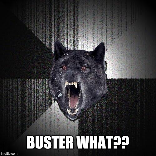 Insanity Wolf Meme | BUSTER WHAT?? | image tagged in memes,insanity wolf | made w/ Imgflip meme maker