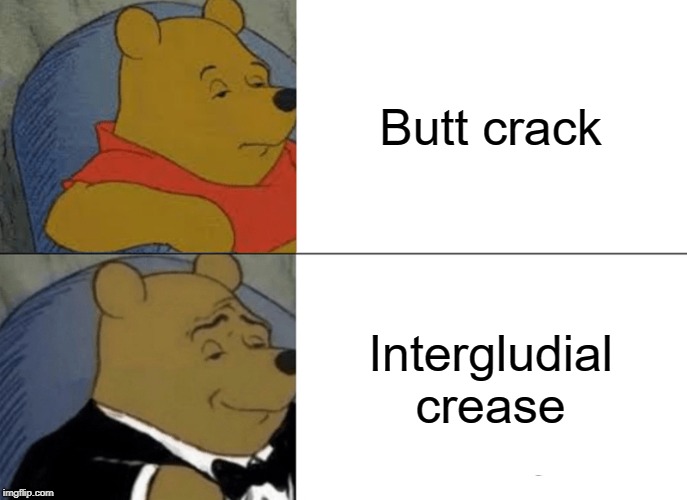 what do I put here help me pls | Butt crack; Intergludial crease | image tagged in memes,tuxedo winnie the pooh,butt crack,intergludial crease | made w/ Imgflip meme maker
