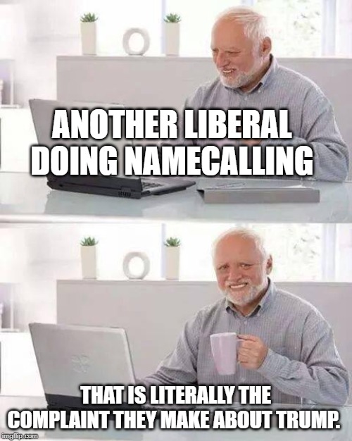 Hide the Pain Harold Meme | ANOTHER LIBERAL DOING NAMECALLING THAT IS LITERALLY THE COMPLAINT THEY MAKE ABOUT TRUMP. | image tagged in memes,hide the pain harold | made w/ Imgflip meme maker