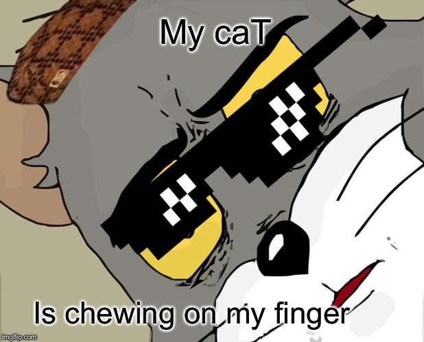 Unsettled Tom Meme | My caT; Is chewing on my finger | image tagged in memes,unsettled tom | made w/ Imgflip meme maker