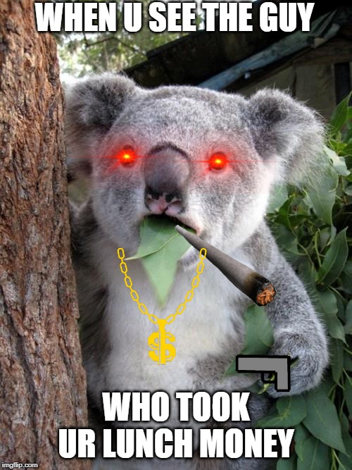 Surprised Koala Meme | WHEN U SEE THE GUY; WHO TOOK UR LUNCH MONEY | image tagged in memes,surprised koala | made w/ Imgflip meme maker