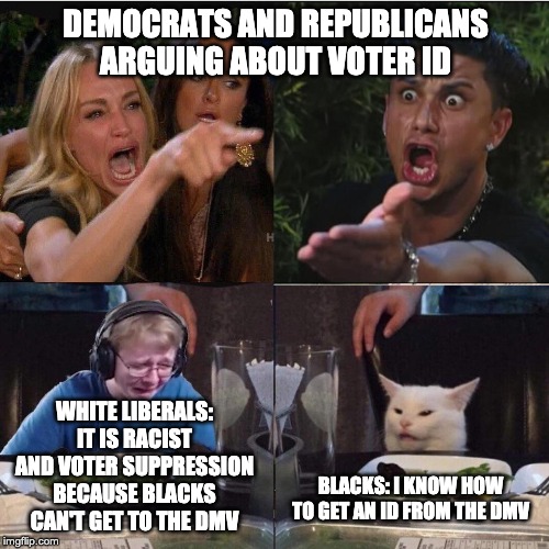 Thank you Ami Horowitz for your great youtube video | DEMOCRATS AND REPUBLICANS ARGUING ABOUT VOTER ID; WHITE LIBERALS: IT IS RACIST AND VOTER SUPPRESSION BECAUSE BLACKS CAN'T GET TO THE DMV; BLACKS: I KNOW HOW TO GET AN ID FROM THE DMV | image tagged in four panel taylor armstrong pauly d callmecarson cat | made w/ Imgflip meme maker