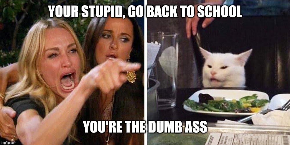 Smudge the cat | YOUR STUPID, GO BACK TO SCHOOL; YOU'RE THE DUMB ASS | image tagged in smudge the cat | made w/ Imgflip meme maker