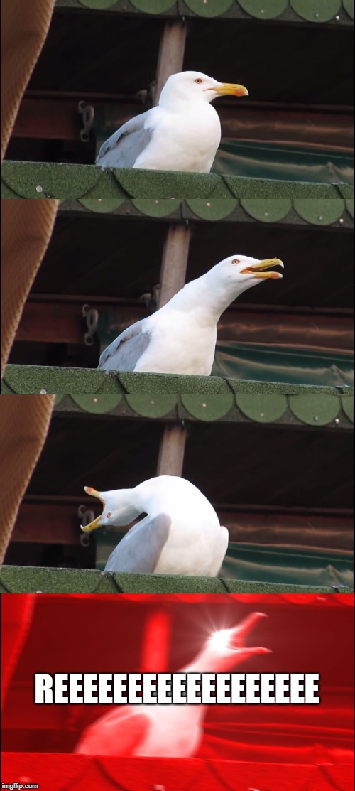 Inhaling Seagull | REEEEEEEEEEEEEEEEEE | image tagged in memes,inhaling seagull | made w/ Imgflip meme maker