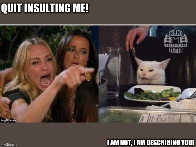 white cat table | QUIT INSULTING ME! I AM NOT, I AM DESCRIBING YOU! | image tagged in white cat table | made w/ Imgflip meme maker