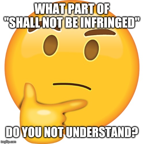 WHAT PART OF "SHALL NOT BE INFRINGED" DO YOU NOT UNDERSTAND? | made w/ Imgflip meme maker