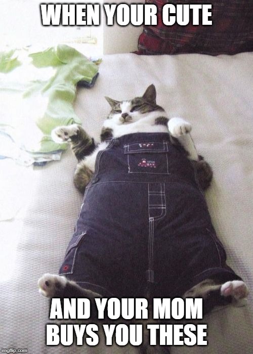 Fat Cat | WHEN YOUR CUTE; AND YOUR MOM BUYS YOU THESE | image tagged in memes,fat cat | made w/ Imgflip meme maker