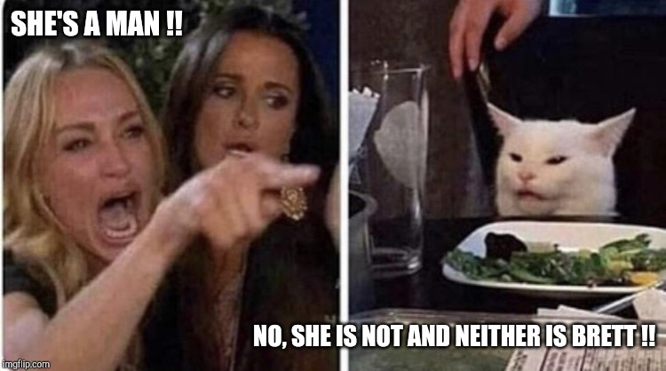 Confused Cat, screaming lady | SHE'S A MAN !! NO, SHE IS NOT AND NEITHER IS BRETT !! | image tagged in confused cat screaming lady | made w/ Imgflip meme maker