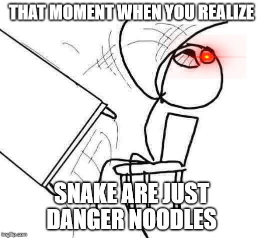 Table Flip Guy Meme | THAT MOMENT WHEN YOU REALIZE; SNAKE ARE JUST DANGER NOODLES | image tagged in memes,table flip guy | made w/ Imgflip meme maker