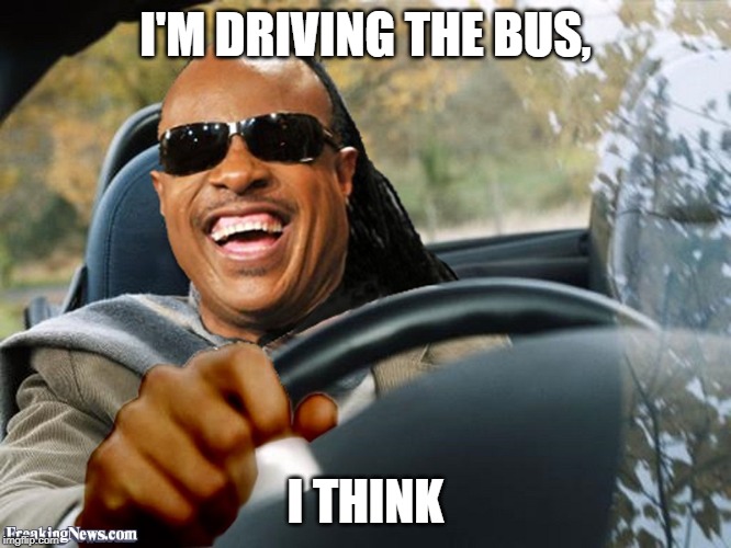 Stevie Wonder Driving | I'M DRIVING THE BUS, I THINK | image tagged in stevie wonder driving | made w/ Imgflip meme maker