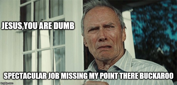 Clint Eastwood WTF | JESUS,YOU ARE DUMB SPECTACULAR JOB MISSING MY POINT THERE BUCKAROO | image tagged in clint eastwood wtf | made w/ Imgflip meme maker