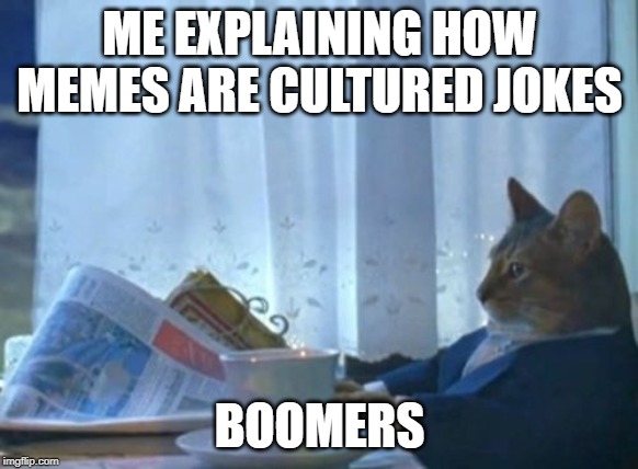 I Should Buy A Boat Cat | ME EXPLAINING HOW MEMES ARE CULTURED JOKES; BOOMERS | image tagged in memes,i should buy a boat cat | made w/ Imgflip meme maker