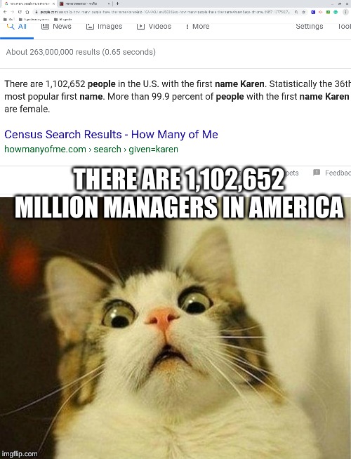 THERE ARE 1,102,652 MILLION MANAGERS IN AMERICA | image tagged in memes,scared cat | made w/ Imgflip meme maker