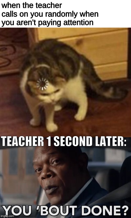 When you aren't paying attention in class | when the teacher calls on you randomly when you aren't paying attention; TEACHER 1 SECOND LATER: | image tagged in cat loading,memes,loading,teacher,what | made w/ Imgflip meme maker