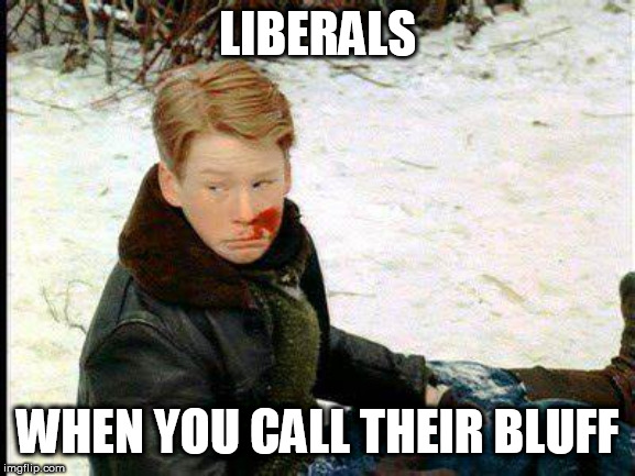 crying bully | LIBERALS WHEN YOU CALL THEIR BLUFF | image tagged in crying bully | made w/ Imgflip meme maker