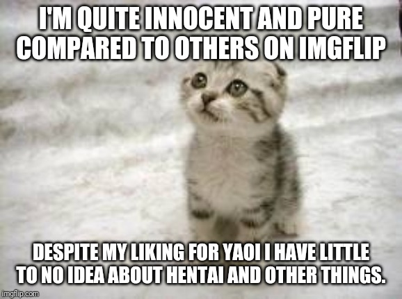 Sad Cat Meme | I'M QUITE INNOCENT AND PURE COMPARED TO OTHERS ON IMGFLIP; DESPITE MY LIKING FOR YAOI I HAVE LITTLE TO NO IDEA ABOUT HENTAI AND OTHER THINGS. | image tagged in memes,sad cat | made w/ Imgflip meme maker