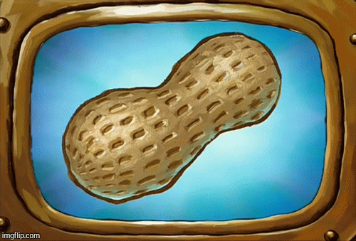 Peanut! | image tagged in gifs,food | made w/ Imgflip images-to-gif maker