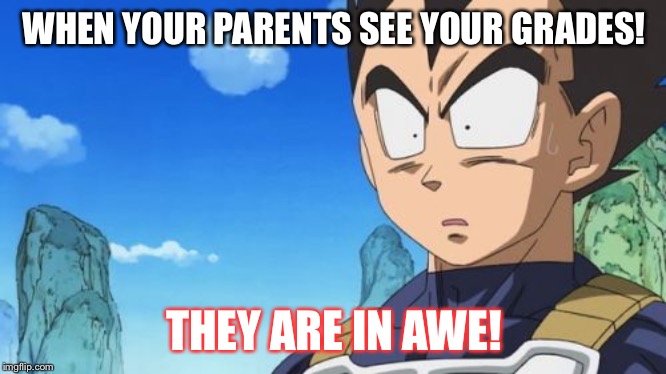 Surprized Vegeta | WHEN YOUR PARENTS SEE YOUR GRADES! THEY ARE IN AWE! | image tagged in memes,surprized vegeta | made w/ Imgflip meme maker