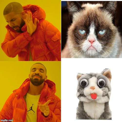 Happy Cat | image tagged in memes,drake hotline bling,cats,grumpy cat | made w/ Imgflip meme maker