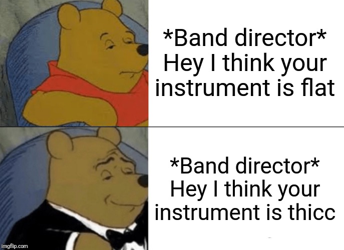 Tuxedo Winnie The Pooh Meme | *Band director* Hey I think your instrument is flat; *Band director* Hey I think your instrument is thicc | image tagged in memes,tuxedo winnie the pooh | made w/ Imgflip meme maker