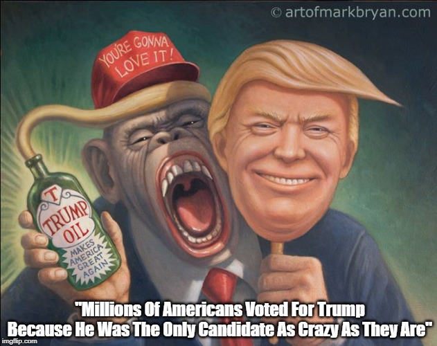"Millions Of Americans Voted For Trump Because He Was The Only Candidate As Crazy As They Are" | made w/ Imgflip meme maker