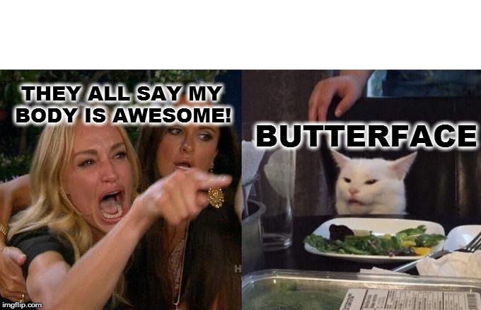 Woman Yelling At Cat | THEY ALL SAY MY 
BODY IS AWESOME! BUTTERFACE | image tagged in memes,woman yelling at cat | made w/ Imgflip meme maker
