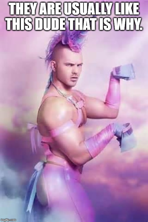 Gay Unicorn | THEY ARE USUALLY LIKE THIS DUDE THAT IS WHY. | image tagged in gay unicorn | made w/ Imgflip meme maker