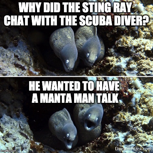 Aquatic, Scuba, Underwater | WHY DID THE STING RAY 
CHAT WITH THE SCUBA DIVER? HE WANTED TO HAVE 
A MANTA MAN TALK | image tagged in aquatic scuba underwater | made w/ Imgflip meme maker