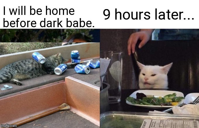 Fishin with the boys | image tagged in funny memes,catfish,drunk cat | made w/ Imgflip meme maker