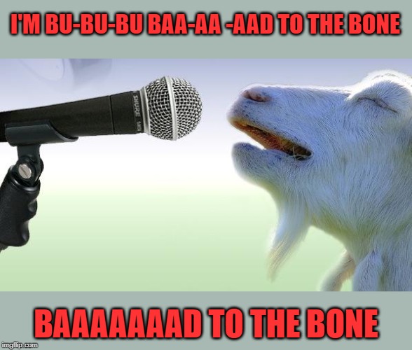 Goat Rock Concert | I'M BU-BU-BU BAA-AA -AAD TO THE BONE; BAAAAAAAD TO THE BONE | image tagged in goat singing,george thorogood,memes | made w/ Imgflip meme maker
