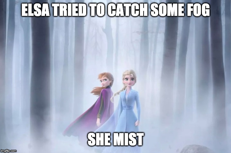 Elsa tried to catch some fog | ELSA TRIED TO CATCH SOME FOG; SHE MIST | image tagged in science puns,science,water cycle puns | made w/ Imgflip meme maker