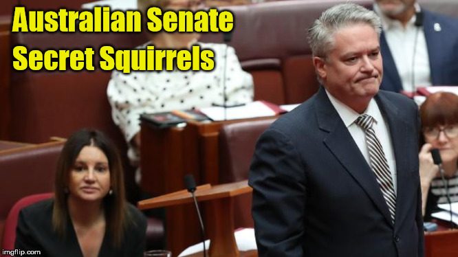 Secret Squirrels In the Aust Senate | Australian Senate; Secret Squirrels | image tagged in cormain,lambie,liberals | made w/ Imgflip meme maker