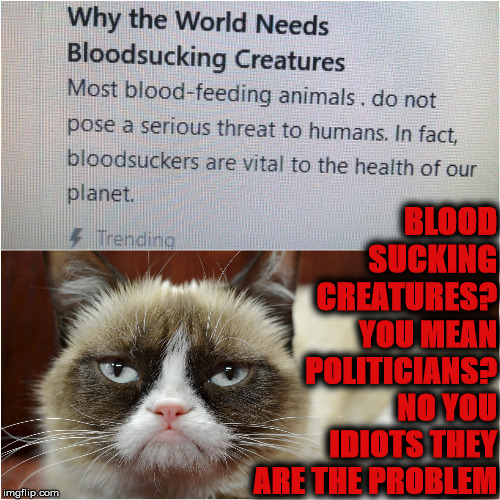 PARASITES VS GRUMPY | YOU MEAN POLITICIANS? NO YOU IDIOTS THEY ARE THE PROBLEM; BLOOD SUCKING CREATURES? | image tagged in parasites vs grumpy | made w/ Imgflip meme maker