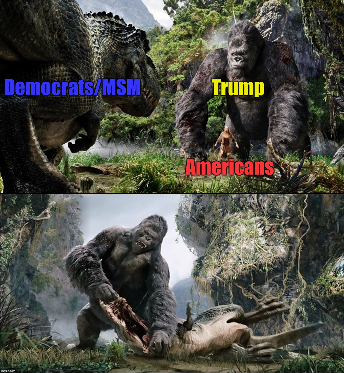 He’s fighting for the American people against our domestic enemies!  And he’s WINNING!! | Democrats/MSM; Trump; Americans | image tagged in maga,drain the swamp | made w/ Imgflip meme maker