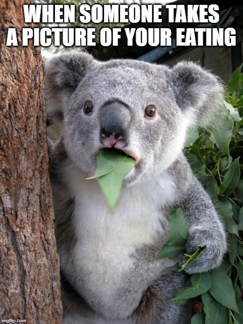 Surprised Koala |  WHEN SOMEONE TAKES A PICTURE OF YOUR EATING | image tagged in memes,surprised koala | made w/ Imgflip meme maker