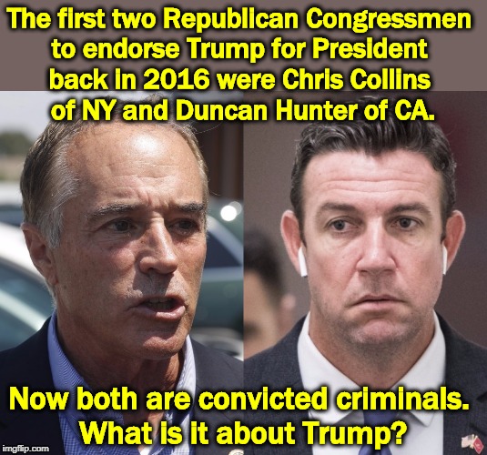 Birds of a feather stain park benches. | The first two Republican Congressmen 
to endorse Trump for President 
back in 2016 were Chris Collins 
of NY and Duncan Hunter of CA. Now both are convicted criminals. 
What is it about Trump? | image tagged in trump,chris collins,duncan hunter,criminals | made w/ Imgflip meme maker