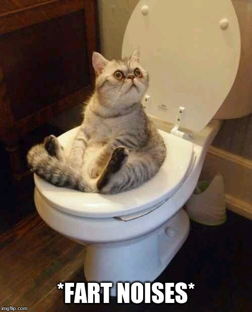 Toilet cat | *FART NOISES* | image tagged in toilet cat | made w/ Imgflip meme maker