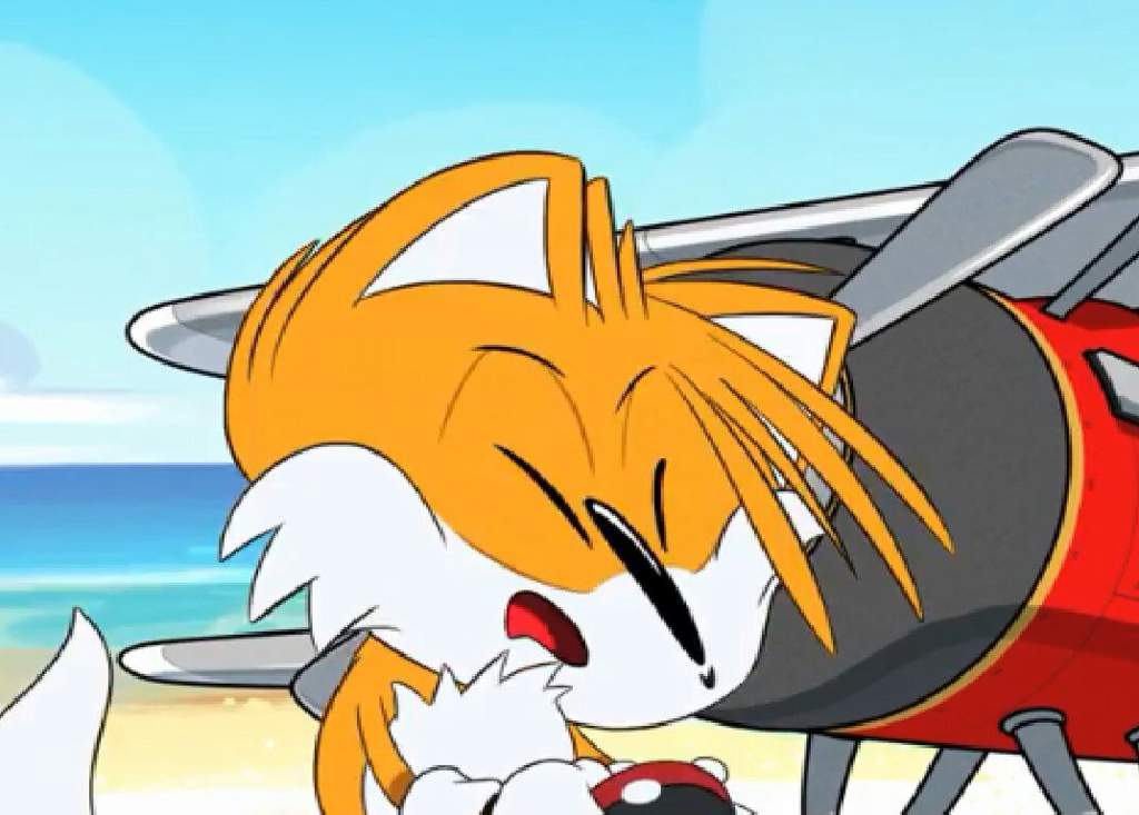 High Quality Tails sneeze Blank Meme Template