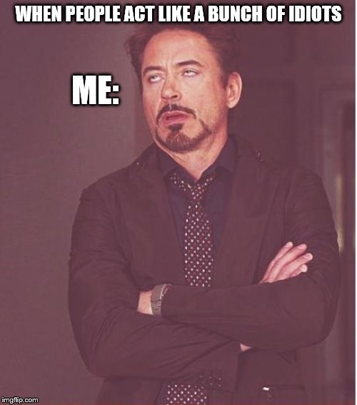 Face You Make Robert Downey Jr | WHEN PEOPLE ACT LIKE A BUNCH OF IDIOTS; ME: | image tagged in memes,face you make robert downey jr | made w/ Imgflip meme maker