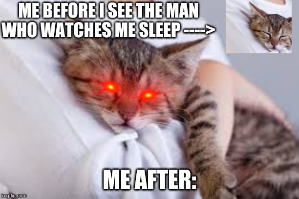 Cat sleep | ME BEFORE I SEE THE MAN WHO WATCHES ME SLEEP ---->; ME AFTER: | image tagged in cat sleep | made w/ Imgflip meme maker